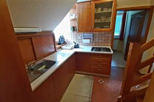małą kuchnię z drewnianymi szafkami i zlewem w obiekcie Rogla Apartma Ostržek w mieście Vitanje
