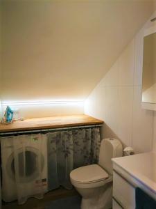 a small bathroom with a toilet and a sink at Perfect stay in Old Town with Parking in Tallinn