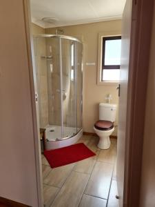 a bathroom with a shower and a toilet at Forest View Cabins in Tzaneen