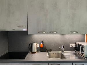 a kitchen with a sink and silver cabinets at Joli Studio près des Bains de Lavey in Savatan