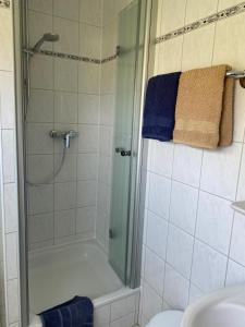 a shower with a glass door in a bathroom at Wohnung auf dem Lande in Riepsdorf