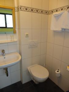 ein Bad mit einem WC und einem Waschbecken in der Unterkunft Stadthotel Regensburg in Regensburg