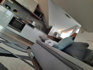 Kuchyňa alebo kuchynka v ubytovaní Kamilla Apartman Villapark