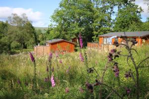 ein Feld mit hohen Gras und Häusern im Hintergrund in der Unterkunft Balquhidder Braes Holiday Park Lodges, mostly with Hot Tubs and pet friendly, EV facilities in Lochearnhead + 27 Fotos