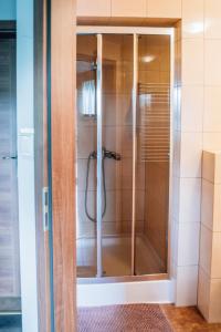 a shower with a glass door in a bathroom at Apartamenty Madzia in Wisła