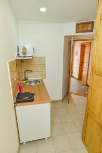 uma cozinha com um lavatório e uma bancada em Familija 77 em Kikinda