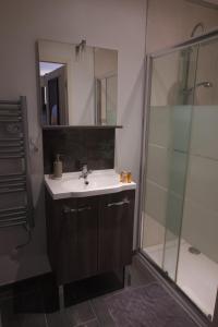 uma casa de banho com um lavatório e um chuveiro em Duplex charmant idéalement situé em Dole