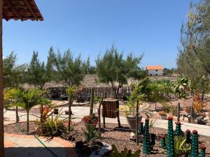 Κήπος έξω από το FLATS MACAPÁ MEU AMOR 6