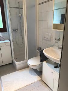 een badkamer met een douche, een toilet en een wastafel bij Appartamento da 2 locali a Bosco Gurin in Bosco Gurin