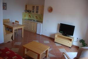 ein Wohnzimmer mit einem TV und einer Küche in der Unterkunft Apartments Organic tourist farm Jeglijenk in Šentjanž pri Dravogradu
