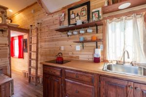 莱德维尔Tiny House Leadville Colorado的小木屋内的厨房,配有水槽