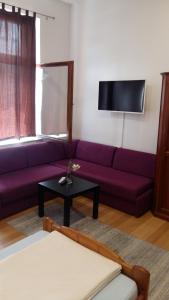 TV a/nebo společenská místnost v ubytování Apartment and rooms"Tabašnice"Tuzla centar