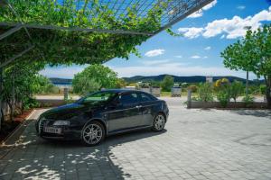 Príroda v okolí apartmánu