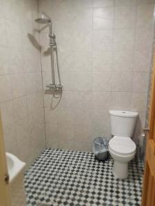 a bathroom with a toilet and a shower with a tiled floor at The musical Ceol Cottage 1-Bedroom - Sleeps four in Ballynahinch