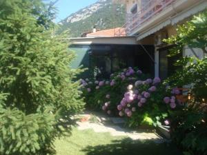 a garden with purple flowers on the side of a house at Dimitra Hotel in Kamena Vourla +35 photos