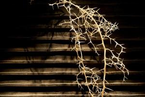 a plant with lights on top of a wall at Kikokutei Bekkan in Kyoto