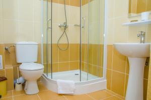 a bathroom with a shower and a toilet and a sink at Casa Andu in 2 Mai
