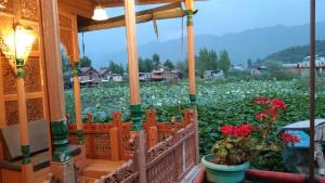 山景或在船屋看到的山景