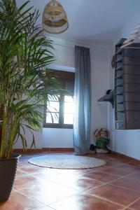 Kép BN Casa Cecilia SPA szállásáról Benaocazban a galériában Még 18 kép