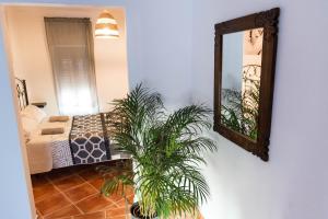 BN Casa Cecilia SPA في بن وقاص: مرآة على جدار بجوار غرفة النوم