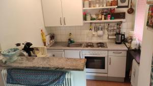 Kuchyňa alebo kuchynka v ubytovaní Alpenappartements Domicil include Jokercard