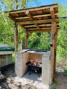 un forno per pizza all'aperto con un caminetto di Ferienwohnung „Alte Mühle“ a Bad Rodach