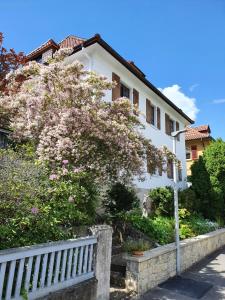 a flowering tree in front of a white house at Apartment 27 in Coburg