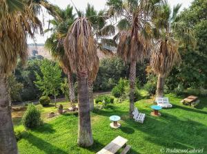 un jardín con palmeras, mesas y bancos en Il Casale Del Sogno, en Ardea