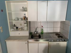 Kuchyňa alebo kuchynka v ubytovaní Alexandras Appartments