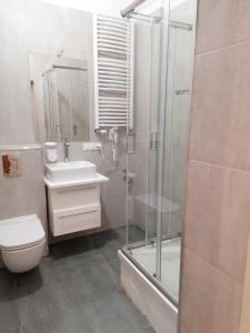 a bathroom with a shower and a toilet and a sink at Hostel Tulip - Pokój 4 ze wspólną łazienką i kuchnią in Szczecin
