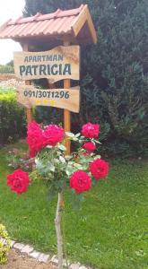 Zahrada ubytování Apartman Patricia