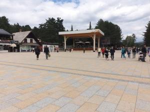 兹拉蒂博尔Standardna soba Zlatibor centar 205的一群人绕着广场走来走去