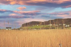 烏伊格的住宿－Skye Holiday Chalets C1，一片高大的草场,有房子和山地背景