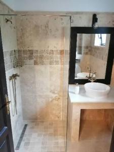 a bathroom with a shower and a sink and a mirror at PENSIUNEA ALEXANDRA in Zăbrani