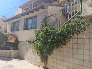 a house with a tree in front of it at Mreoma hostel in Majdal Shams