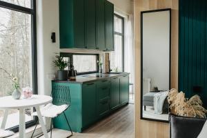 uma cozinha verde com um lavatório e uma mesa em Birštonas Tiny Hemp House em Birštonas
