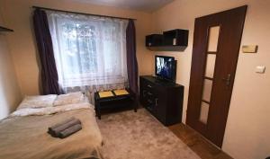 a bedroom with a bed and a television and a window at Hostel Komfort Borek in Krakow