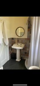 a bathroom with a sink and a mirror at Yellow Heights Accommodation in Tinahely