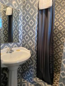 a bathroom with a sink and a shower curtain at Carole Motel in Savannah