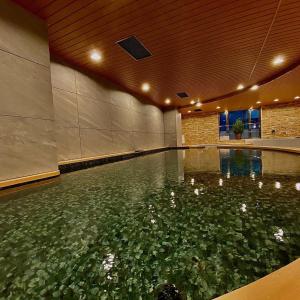 a swimming pool filled with green water with a ceiling at Capsule Inn Osaka (Male Only) in Osaka