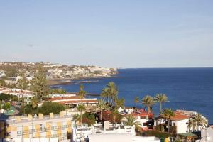 Foto de la galería de SUNNY CACTUS GARDEN Apartment 150m from beach, fast Fiber Wifi en San Bartolomé