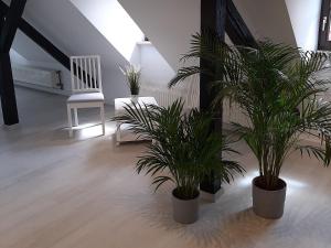 Fotografie z fotogalerie ubytování Bugenhagen - Classic Appartements v destinaci Arnstadt