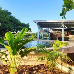 una piscina con piante di fronte a un edificio di Convento Arcádia ad Atins