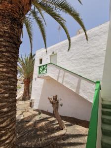 een wit gebouw met een raam en een palmboom bij La Casa De MarcoQ in Costa Calma