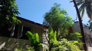 een huis met palmbomen ervoor bij BE ANIMAL Hostel in Bangalore