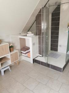ein Bad mit einer Dusche und einer Treppe in der Unterkunft Bienvenue chez moi à Concevreux in Concevreux
