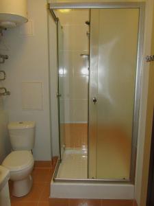a bathroom with a shower and a toilet at S&M Apartments in Kyiv +8 photos