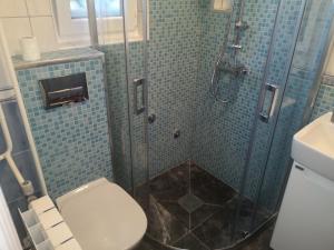 uma casa de banho com um chuveiro, um WC e um lavatório. em Apartments Luke em Dubrave Gornje