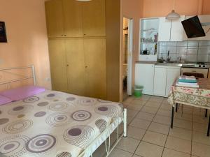 Kuchyňa alebo kuchynka v ubytovaní Alexandras Appartments