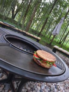 a sandwich sitting on top of a grill at Stovyklavietė TekaTeka in Anykščiai
